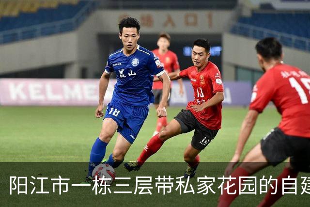 阳江市一栋三层带私家花园的自建房拍卖，才53万就成交，捡漏了